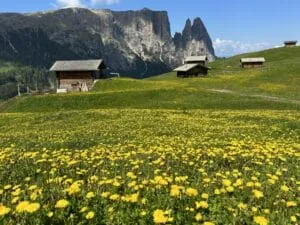 Gourmethotel Ansitz Steinbock, Südtirol
