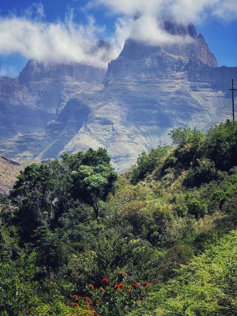 Three Tree Hill Lodge, Südafrika