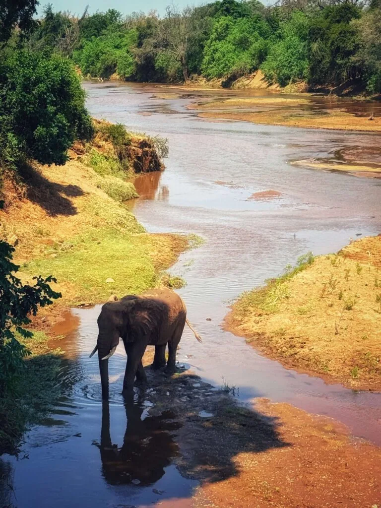 Pafuri Camp, Südafrika