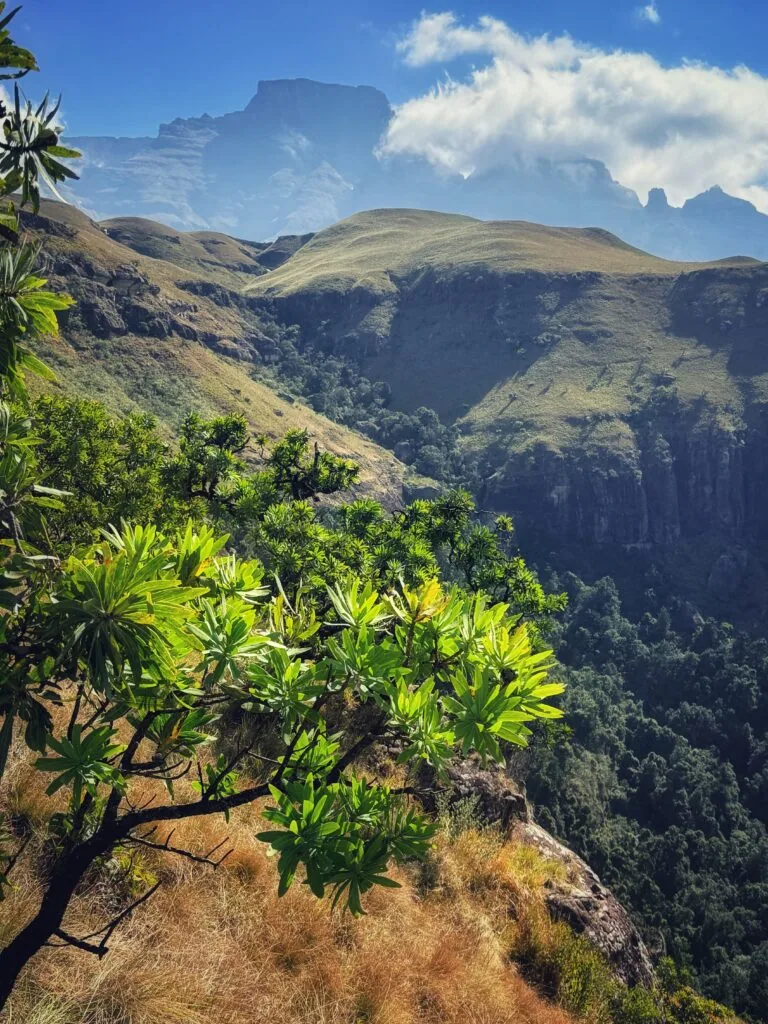 Three Tree Hill Lodge, Südafrika