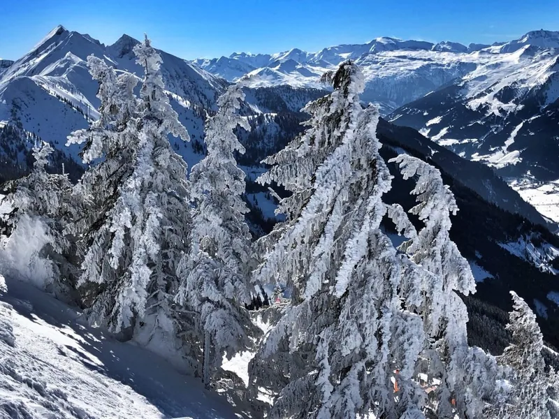 Das Edelweiss, Salzburg Mountain Resort
