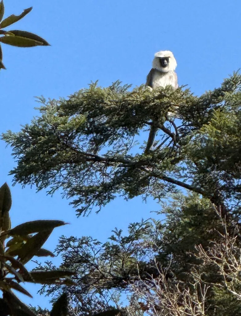 Höhepunkte Bhutans